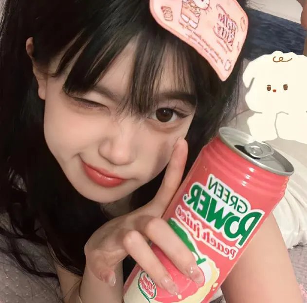 飞行之翼